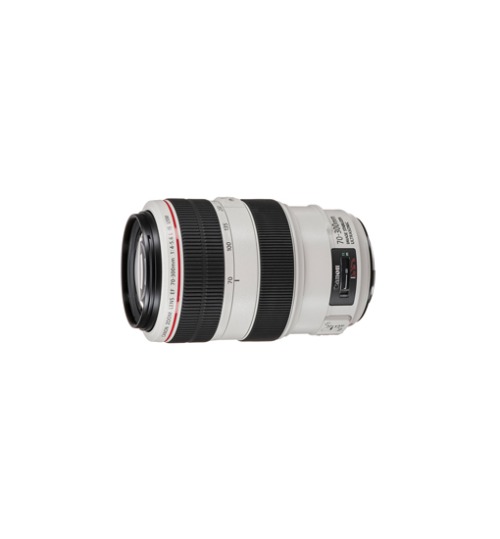 Canon EF 70-300mm F4-5.6L IS